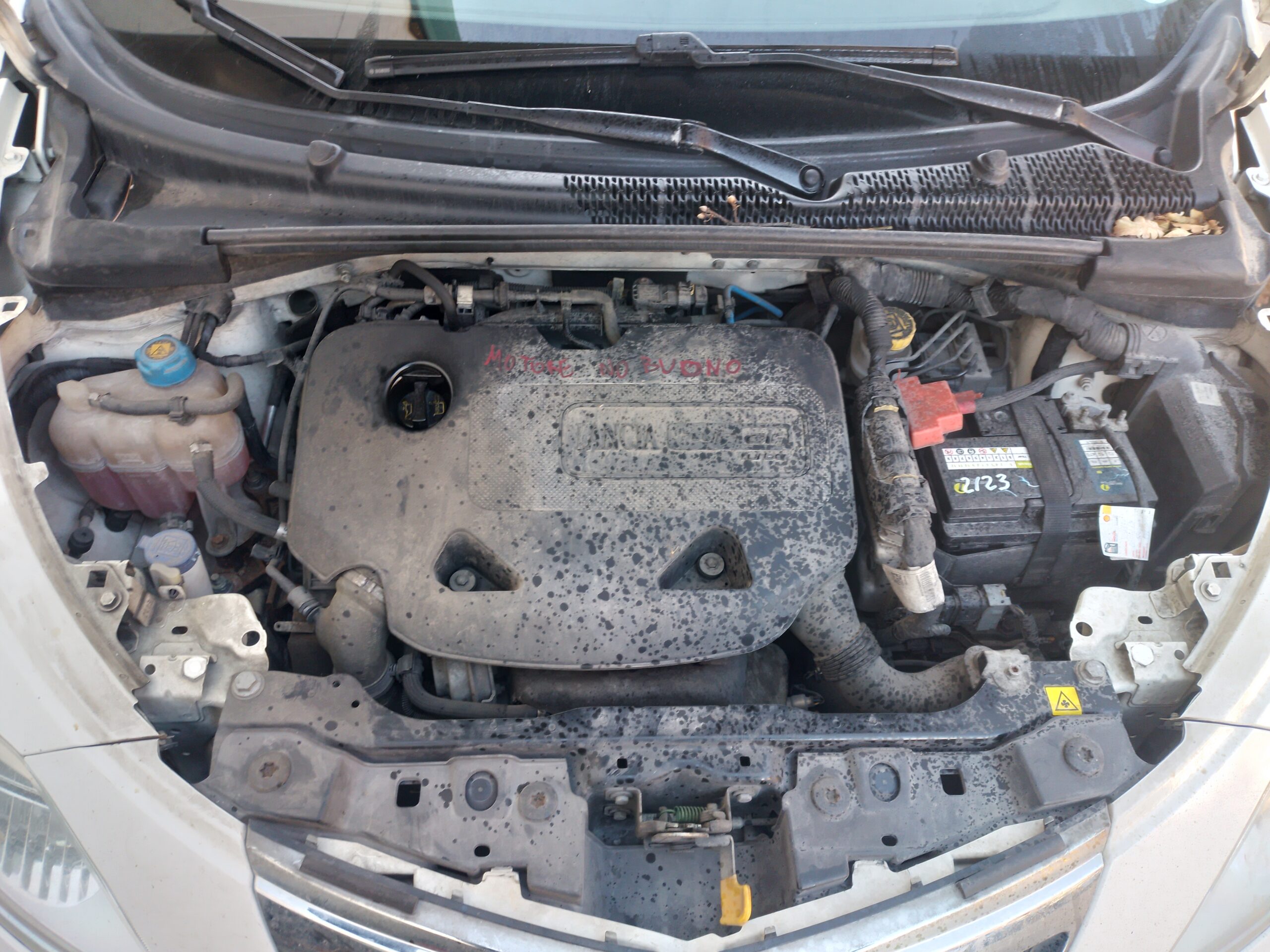 CAMBIO 5 MARCE 312A2000 LANCIA YPSILON (TK) - 2013
